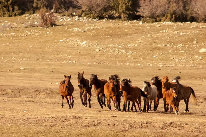 Dünya Turizm Örgütü, dünyanın en iyi köylerini seçti! Listede Türkiye'den bir köy de var 15 Dünya Turizm Örgütü, dünyanın en iyi köylerini seçti! Listede Türkiye'den bir köy de var 15