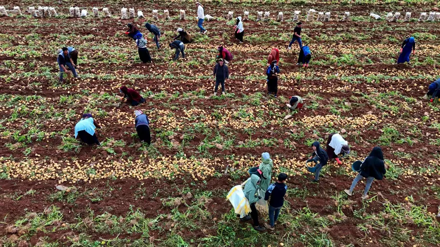 Aylık 90 bin TL kazanıyorlar, 23 gün çalışıyorlar: "Yaptığımız iş zor" 3