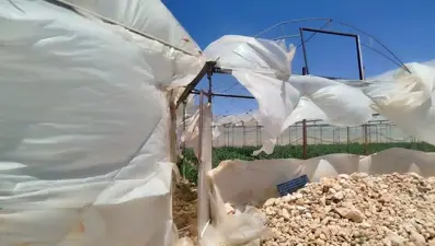 Mersin’de rüzgar seralarda hasara yol açtı