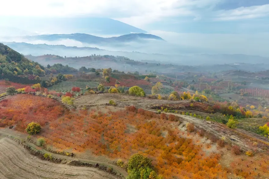 Eşsiz manzarası büyüledi: Doğal güzellik ortaya çıktı 5 Eşsiz manzarası büyüledi: Doğal güzellik ortaya çıktı 5