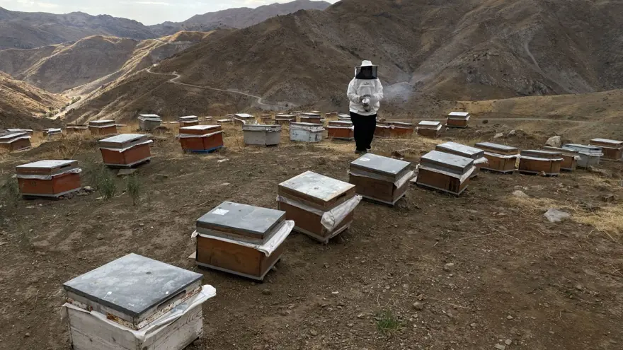 8 yıl önce başladı, 30'dan 300'e çıkardı: Şimdi 4 ton üretiyor 4