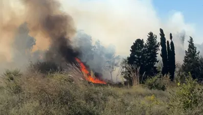 Adana'da çalılıktan tarım alanına sıçrayan yangın kontrol altında