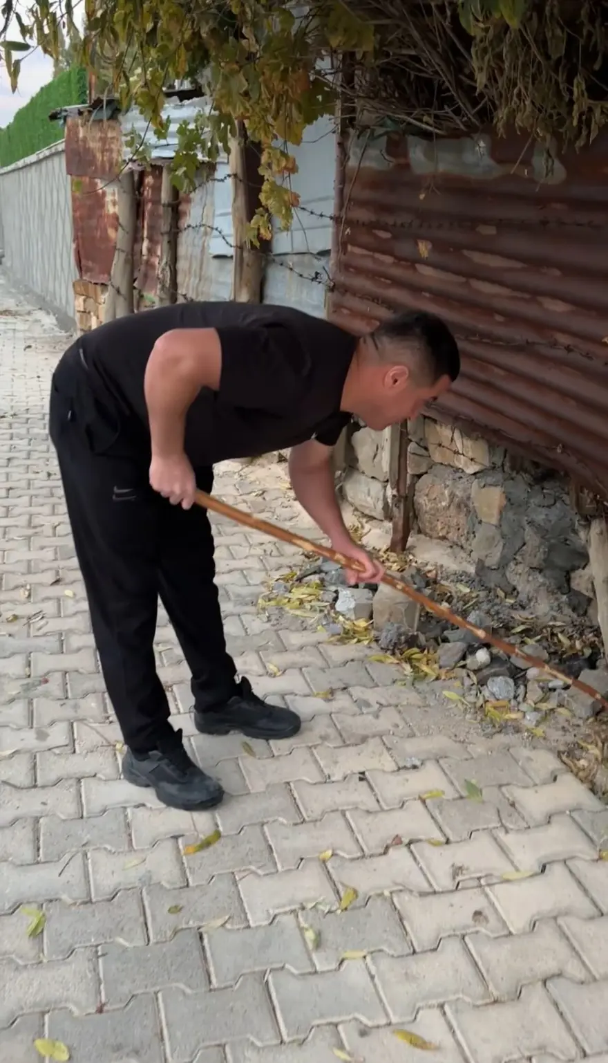 Mahalleli 3 gün nöbet tuttu: Bir ilde yılan paniği 4