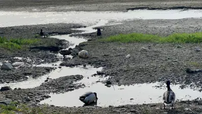 Marmara'nın en büyük gölünde susuz kaldılar