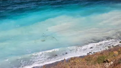 Beyaz tehlike: Şlam atığı mı? 2 kilometre kıyıyı kapladı