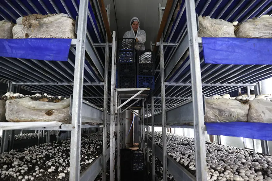 KENDİ ENERJİSİNİ ÜRETEN TESİS 1 KENDİ ENERJİSİNİ ÜRETEN TESİS 1