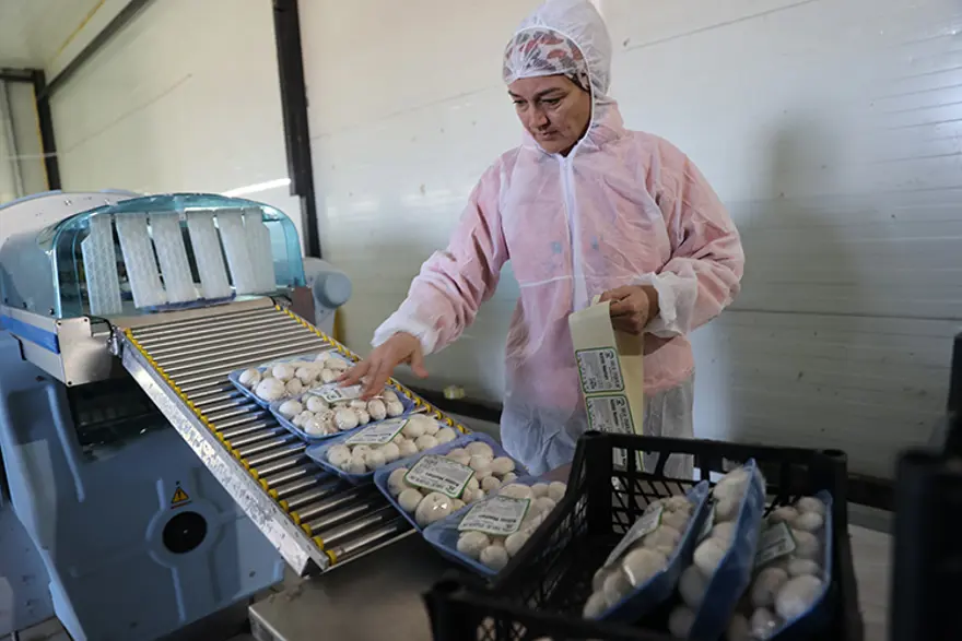 HERKES TKDK'YE BAŞVURMALI 2 HERKES TKDK'YE BAŞVURMALI 2