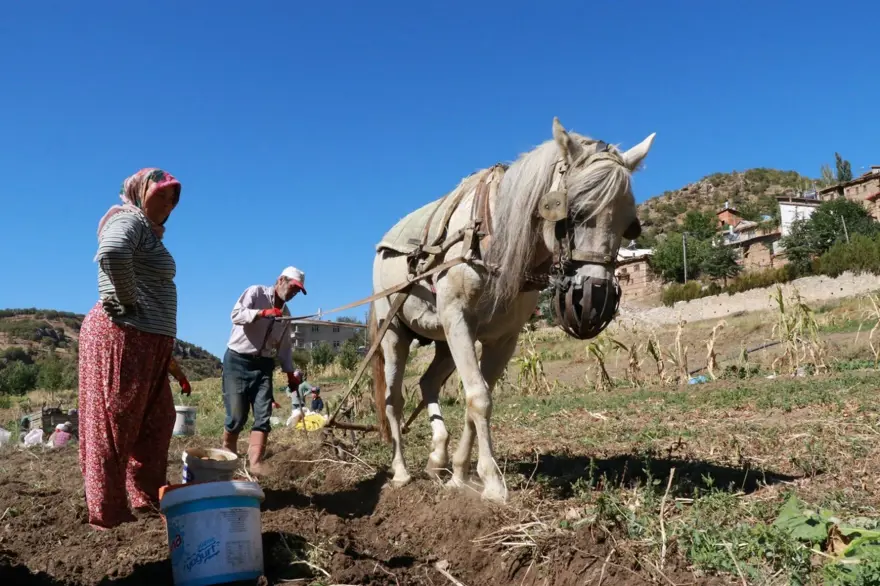 "DEDELERİMİZİN MİRASINI YAŞATIYORUZ" 1