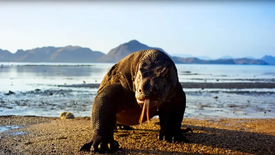 69. Emmy Ödülleri sahiplerini buldu (2017 Emmy Ödülleri) 77 69. Emmy Ödülleri sahiplerini buldu (2017 Emmy Ödülleri) 77