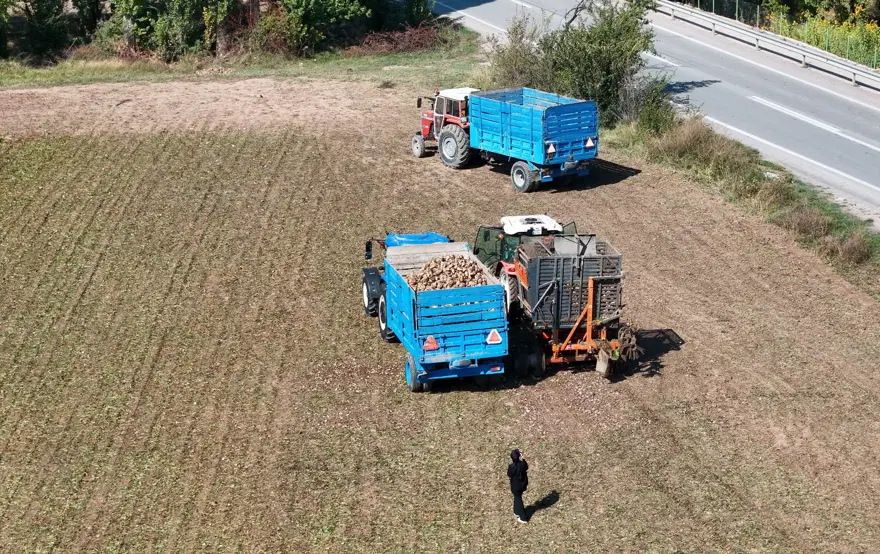Tarladan sofraya uzanan yolculuk: Mart ayında ekildi hasat şimdi başladı 3 Tarladan sofraya uzanan yolculuk: Mart ayında ekildi hasat şimdi başladı 3