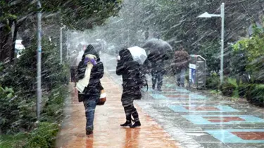 Sibirya soğuğu ardından bahar