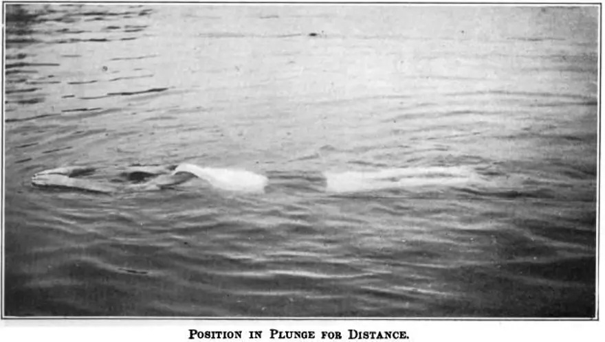 UZAK DALIŞ (1904) 3 UZAK DALIŞ (1904) 3