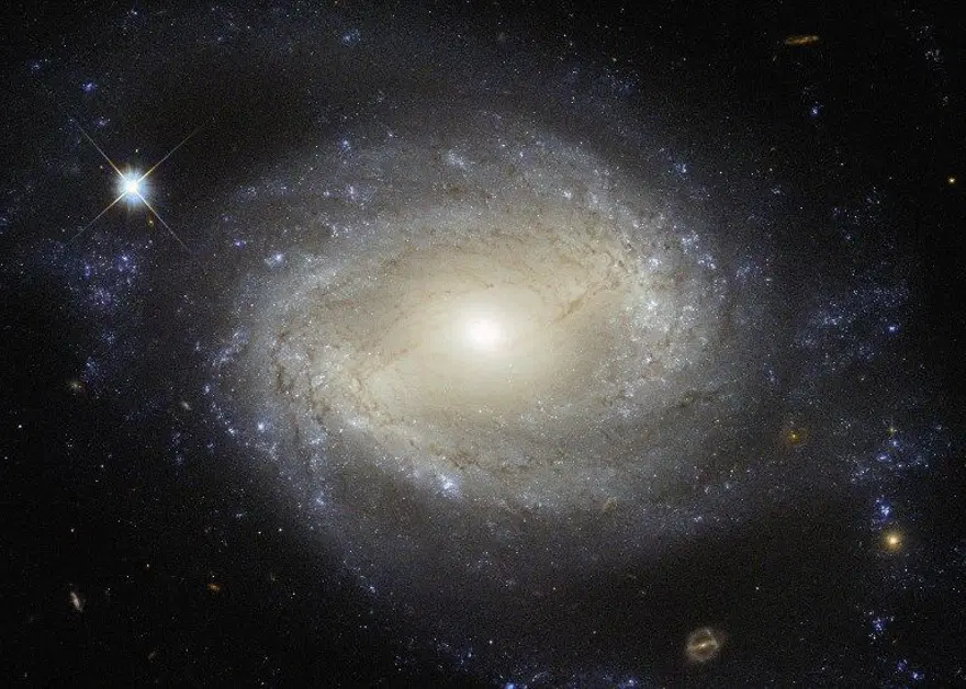 NASA'dan 'Kelebek Nebula' paylaşımı 54