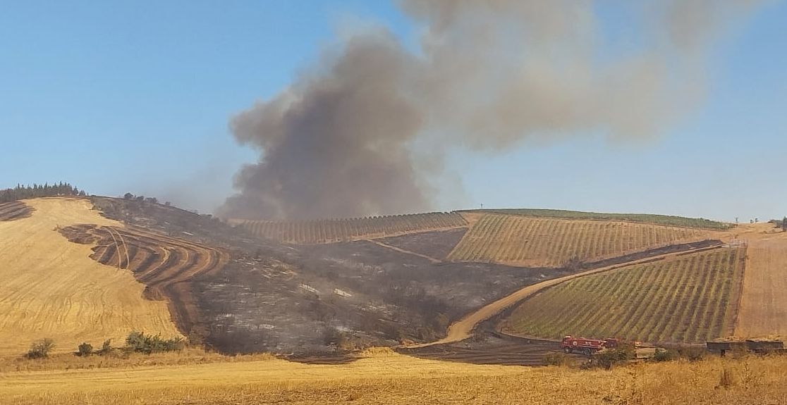 Çanakkale'de tarım arazisinde yangın