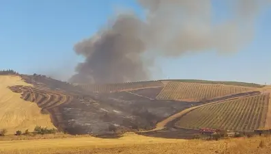 Çanakkale'de tarım arazisinde yangın