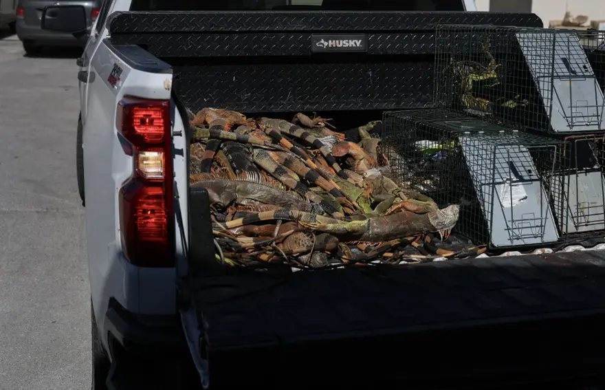 AVCILAR VE HALK SOKAKTA 2 AVCILAR VE HALK SOKAKTA 2