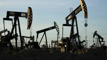 Trump'ın iletiı piyasaları salladı, şişman fiyatları düşmeye başladı