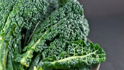 Kırışıklık kremlerinden bile etkili 5 besin: Her yaşta genç cildin sırrı onda