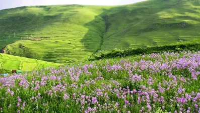 Ardahan'da 'Atatürk silüeti' görülmeye başlandı