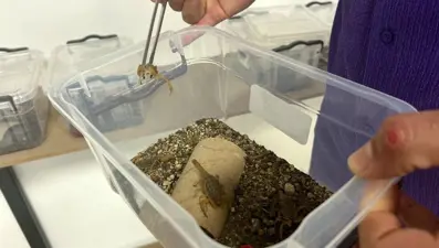 Litresini 10 milyon dolara satacak: 27 yaşında üretim tesisi kurdu