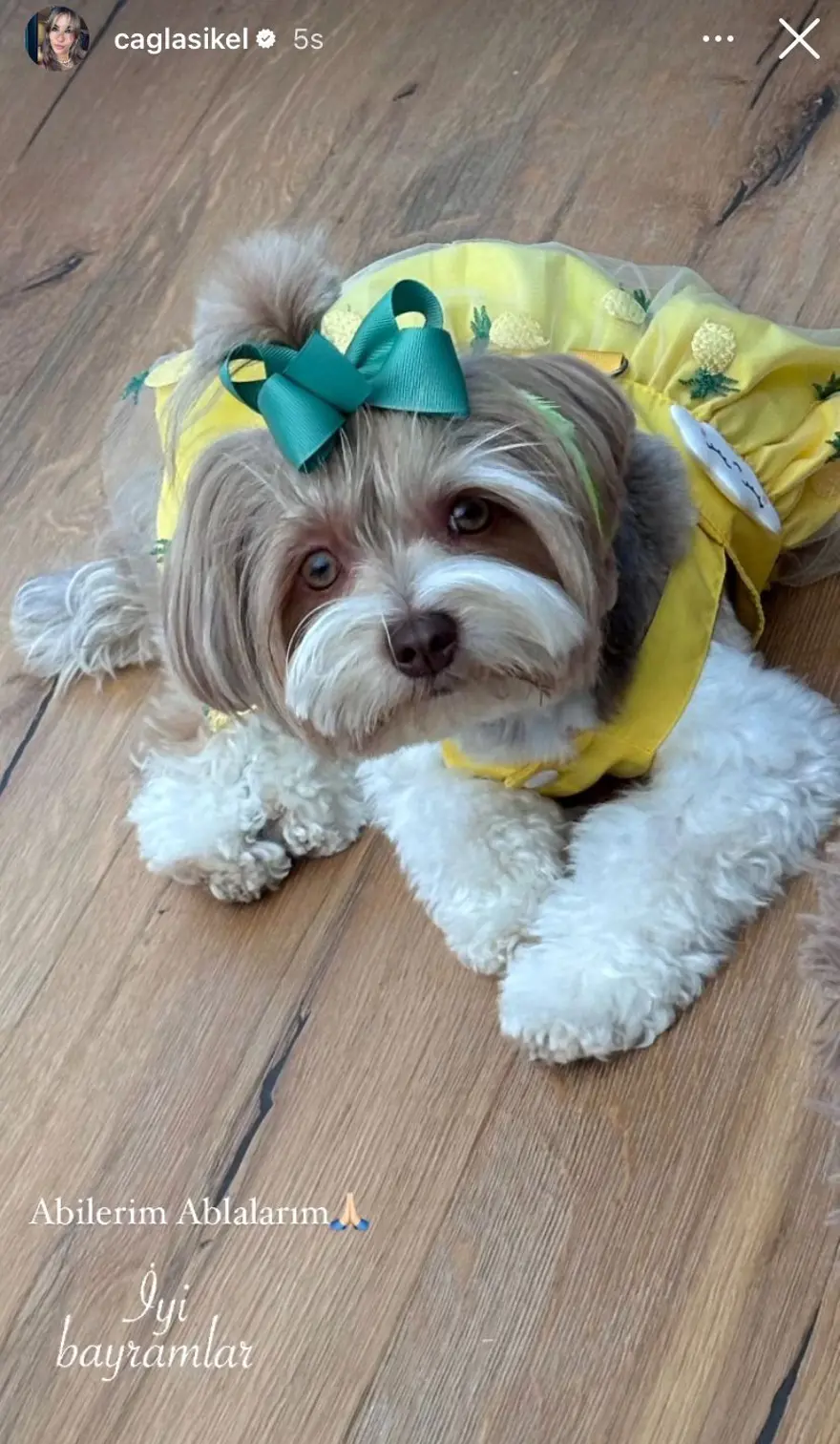 Ünlülerden Kurban Bayramı mesajları 2