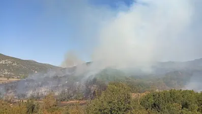 Burdur'da orman yangını: Ekipler olay yerinde