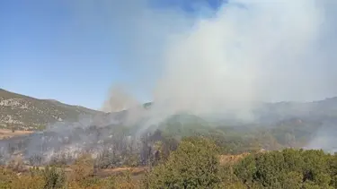Burdur'da orman yangını: Ekipler olay yerinde