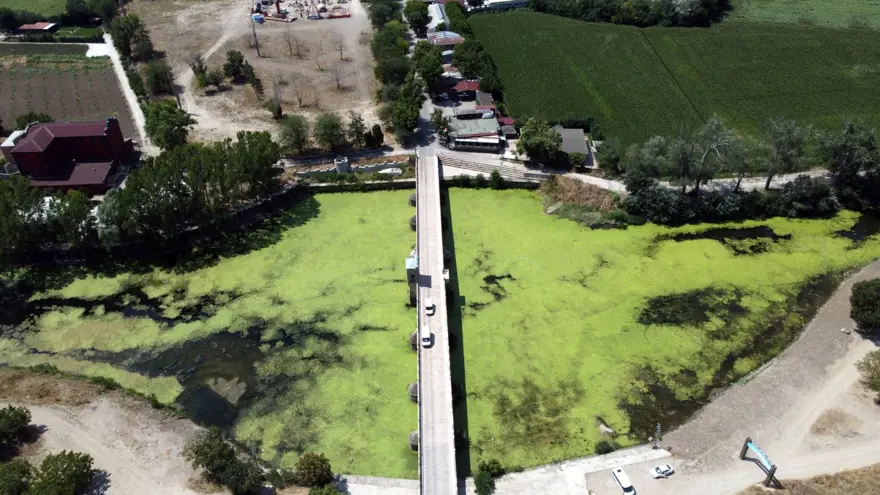 Meriç Nehri'nde kritik seviye aşıldı 14