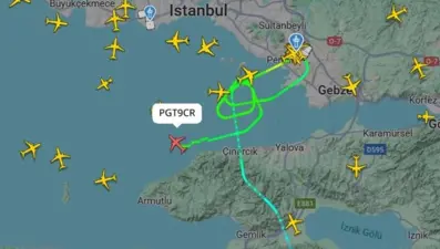 Sabiha Gökçen Havalimanı'nda kuş alarmı: İki uçak pisti pas geçti