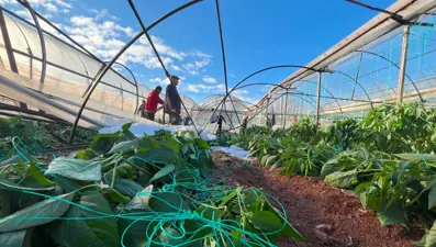 Antalya'da dolu seraları yıktı geçti
