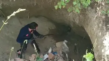 Dev çukurda mahsur kalan sansar kurtarıldı