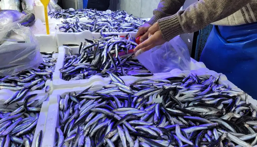 Tezgaha akın ettiler, yoğun talep var: Fiyatları düştü 2