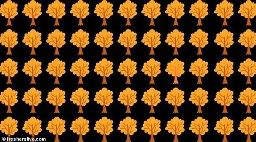 Kafa karıştıran zeka sorusu sosyal medyada gündem oldu: İnsanların yüzde 90'ı çözemiyor! 27 Kafa karıştıran zeka sorusu sosyal medyada gündem oldu: İnsanların yüzde 90'ı çözemiyor! 27