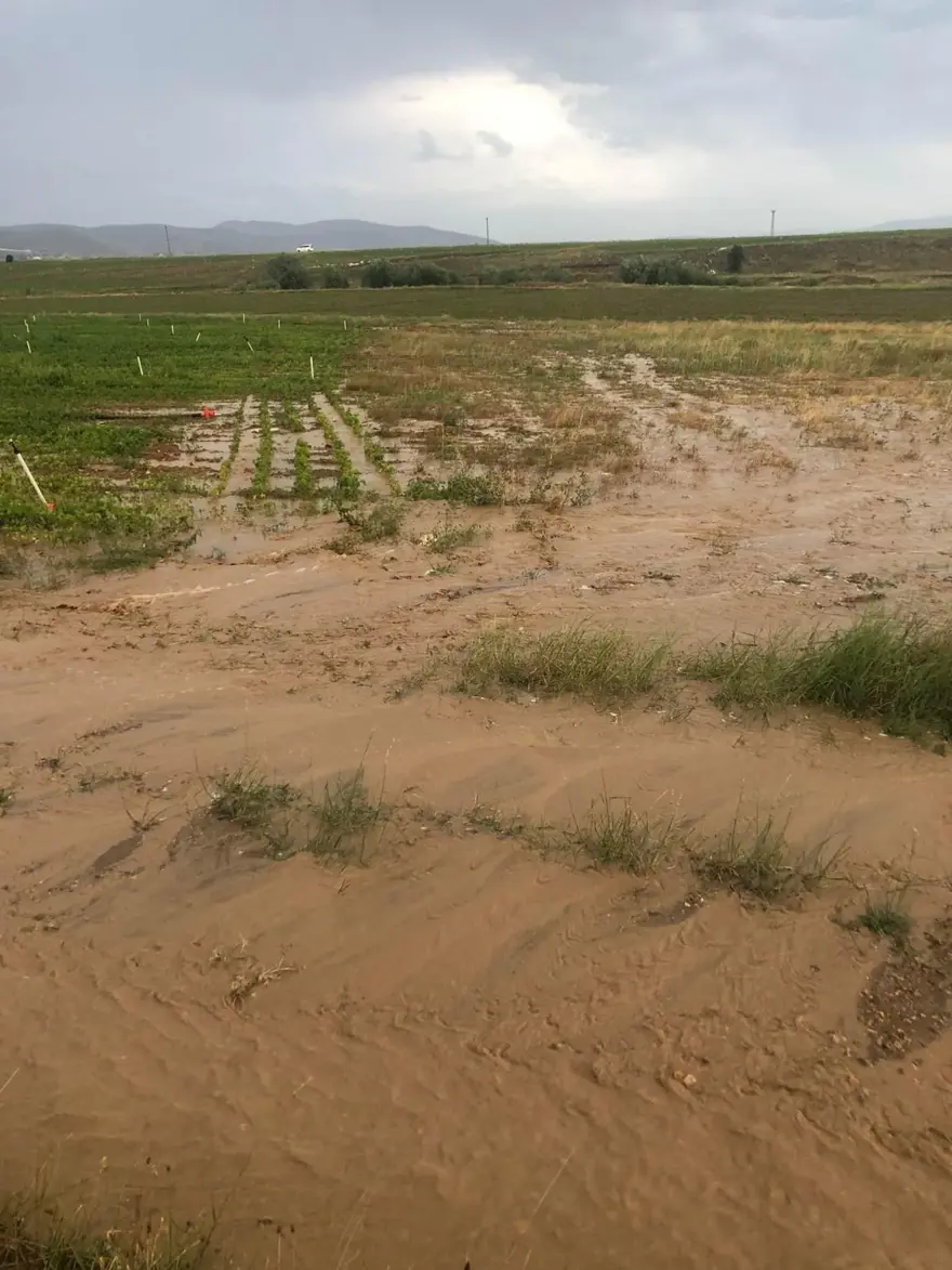 Gümüşhane’yi fırtına ve sağanak vurdu: Çatılar uçtu, tarım arazilerizarar gördü 6
