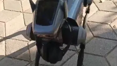 Robot köpek görenleri hayrete düşürdü