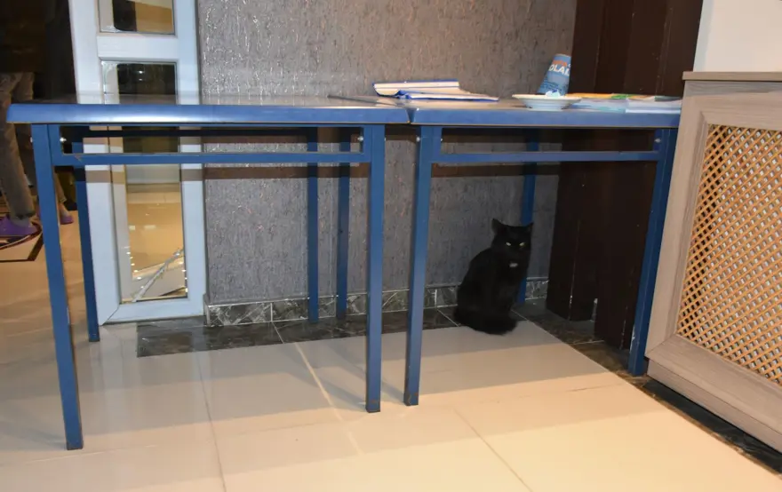 KYK yurtlarında eş zamanlı deprem tatbikatı 47