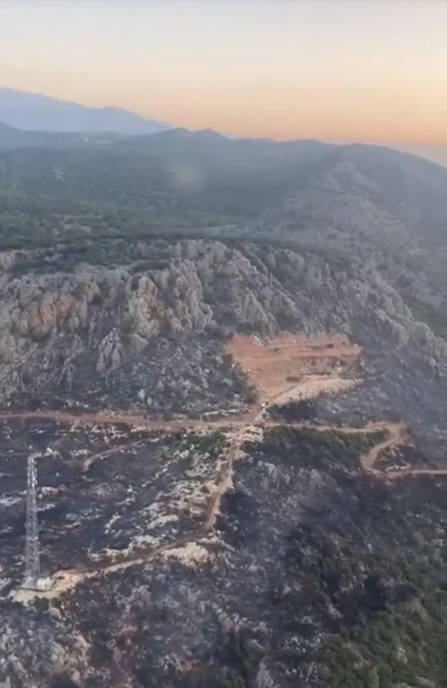 9 hektar ormanı yakan sigara izmaritini atan kişi tutuklandı 6