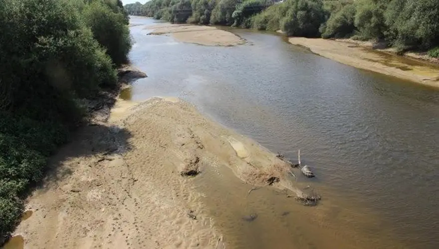 Ege'nin can damarı kuruyor: Balıklar oksijensizlikten öldü 3