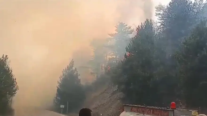 Bolu Göynük'te orman yangını 1