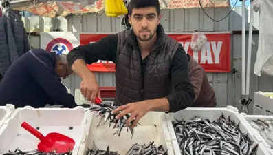 Buzlukta saklamak için tam zamanı: Fiyatı düştü, yoğun ilgi görüyor