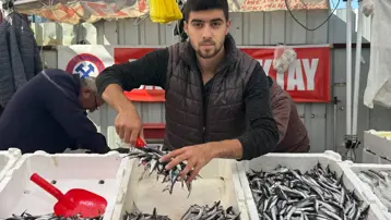 Buzlukta saklamak için tam zamanı: Fiyatı düştü, yoğun ilgi görüyor