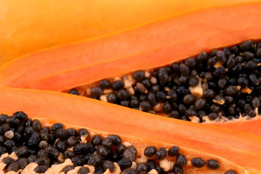 AVOKADO 