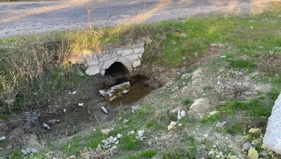 Boş arazide yenidoğan bebek cesedi bulundu