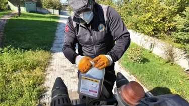 Kahverengi kokarca ile mücadele sürüyor