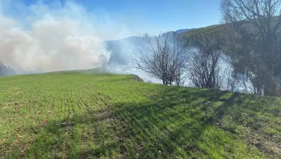 Adana'da orman yangını