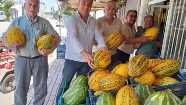 Tarlada kilosu 9-10 TL: Tezgahta yerini aldı
