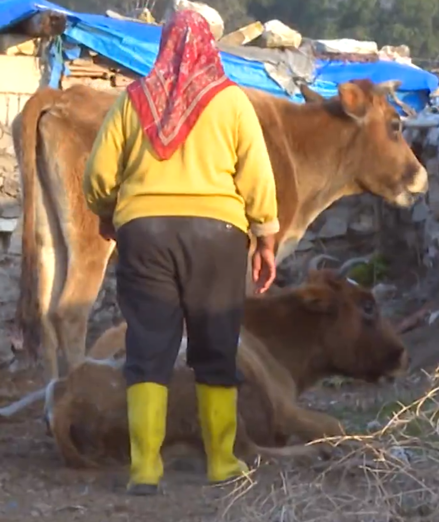 Hataylı Robinsonlar: Anne ve kızı adada yıllardır tek başlarına 6