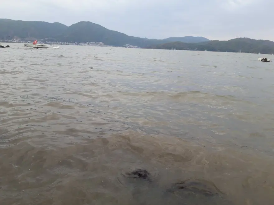 Fethiye'de sel suları, denizin rengini değiştirdi 1 Fethiye'de sel suları, denizin rengini değiştirdi 1