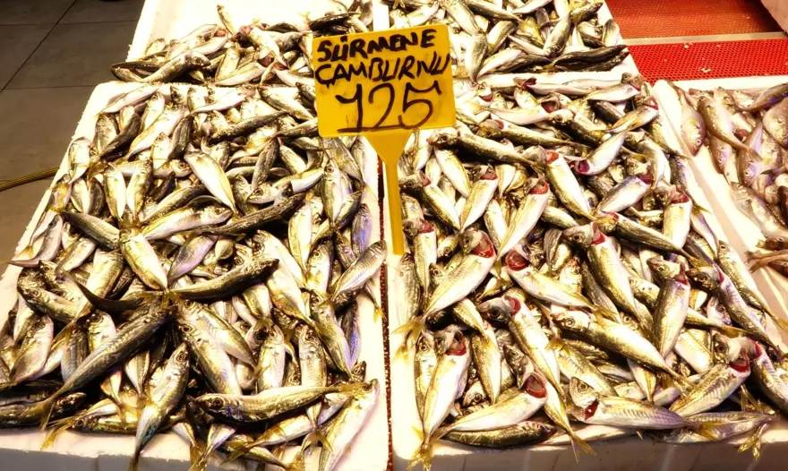 Balıkçılar, "Vira bismillah" diyerek denize açıldı: Tezgahtaki bolluk sürüyor 1