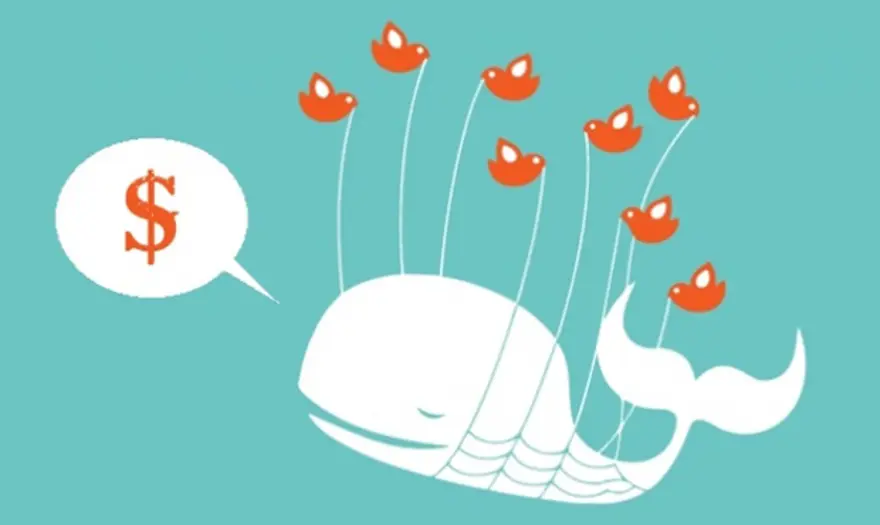 Twitter'ın Türkiye istatistikleri 15